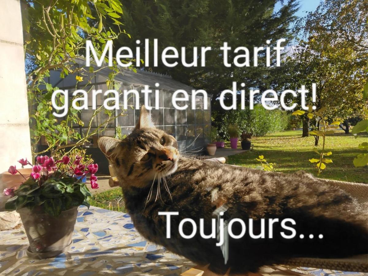 Bed and Breakfast La Grange Dimiere, Pres De Tours Saint-Genouph Exterior foto