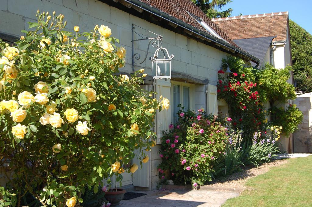 Bed and Breakfast La Grange Dimiere, Pres De Tours Saint-Genouph Exterior foto